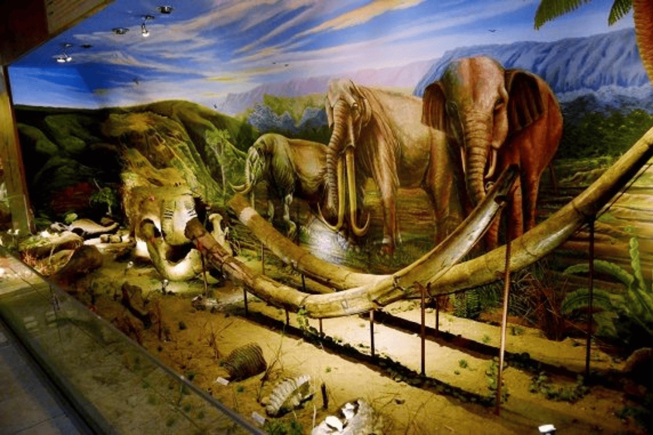 EXPLORING THE GREAT SOLO