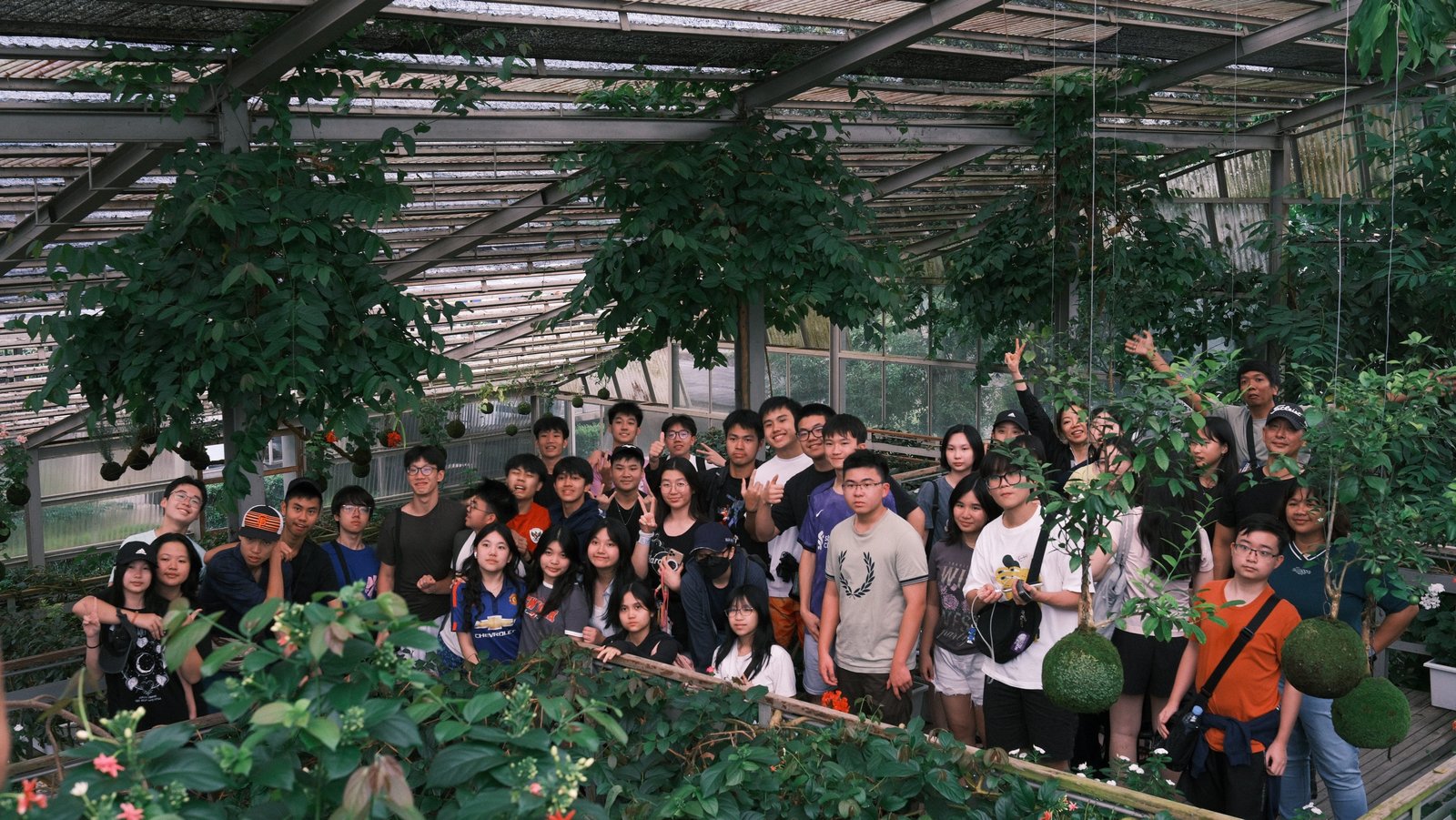 AMAZING CENTRAL JAVA ADVENTURE